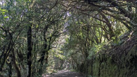 Rückweg zum Cruz del Carmen
