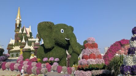 Miracle Garden