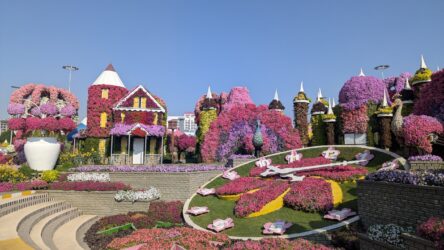 Miracle Garden