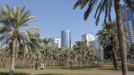 Al-Nakheel Oasis, Sharjah