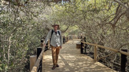 Khor Kalba Mangrove Trail