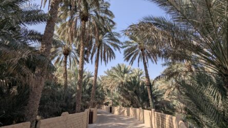 Al-Ain Oasis